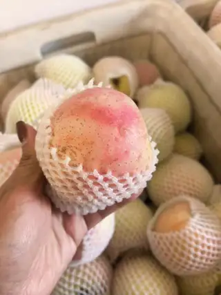 🍎【雀斑王林·雀斑美人苹果】 看着带雀斑，是苹果自带呼吸孔，不是坏果❗ 皮薄无蜡，果肉奶白脆嫩，一口