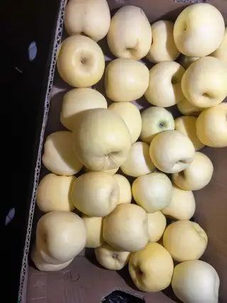 🍎【雀斑王林·雀斑美人苹果】 看着带雀斑，是苹果自带呼吸孔，不是坏果❗ 皮薄无蜡，果肉奶白脆嫩，一口