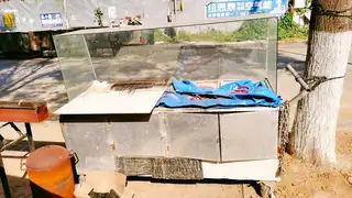 都是500看好哪个，拿走