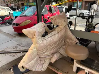 二手电动车 爱玛牌下 后座盖换过 可正常骑行 刚骑5个月 送头盔和原装充电器 可小刀