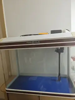 鱼缸，三堂回迁自提，鱼缸里有个氧气泵