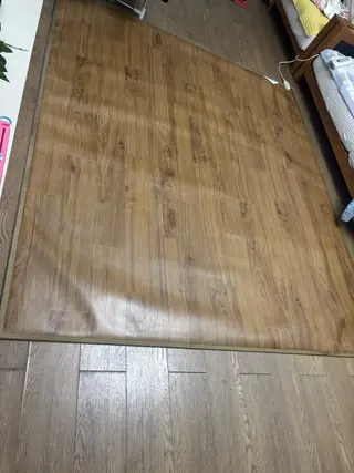 自取！石墨烯电热垫！天冷了小孩子在上面玩特别适用。